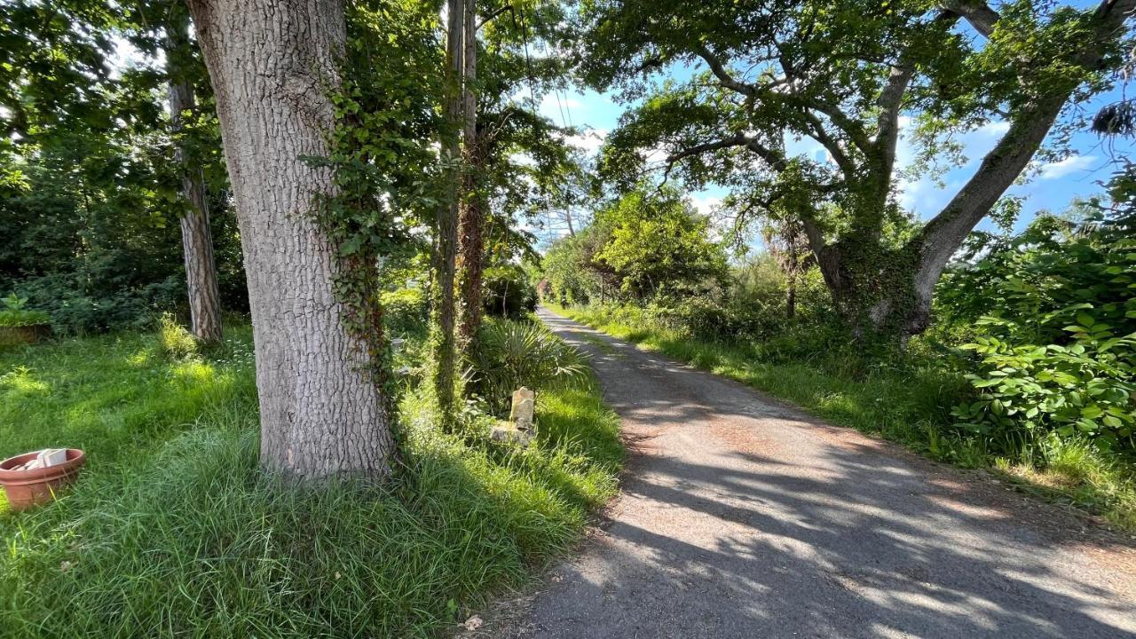 Metairie De Moutiques Villa Cazaubon Exteriör bild